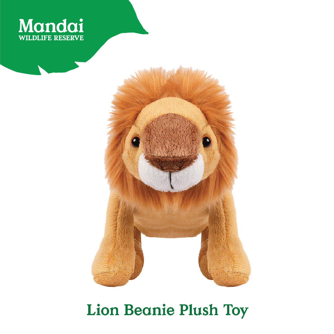 Lion White Lion  Beanie  Plush Toy Stuffed Animal Realistic Details Textures Good Sleeping Buddy MANDAI WILDLIFE RESERVE