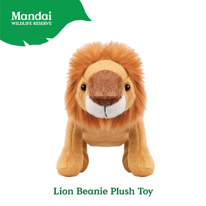 Lion White Lion  Beanie  Plush Toy Stuffed Animal Realistic Details Textures Good Sleeping Buddy MANDAI WILDLIFE RESERVE