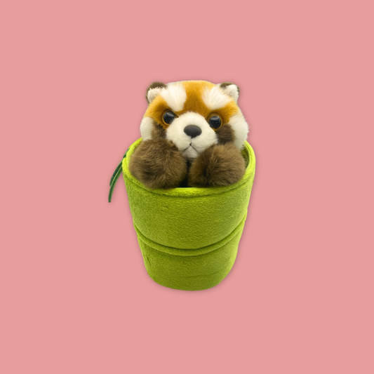 Hiding Pop Out Panda Red Panda Puppet Plush Stuffed Toys - MANDAI WILDLIFE RESERVE