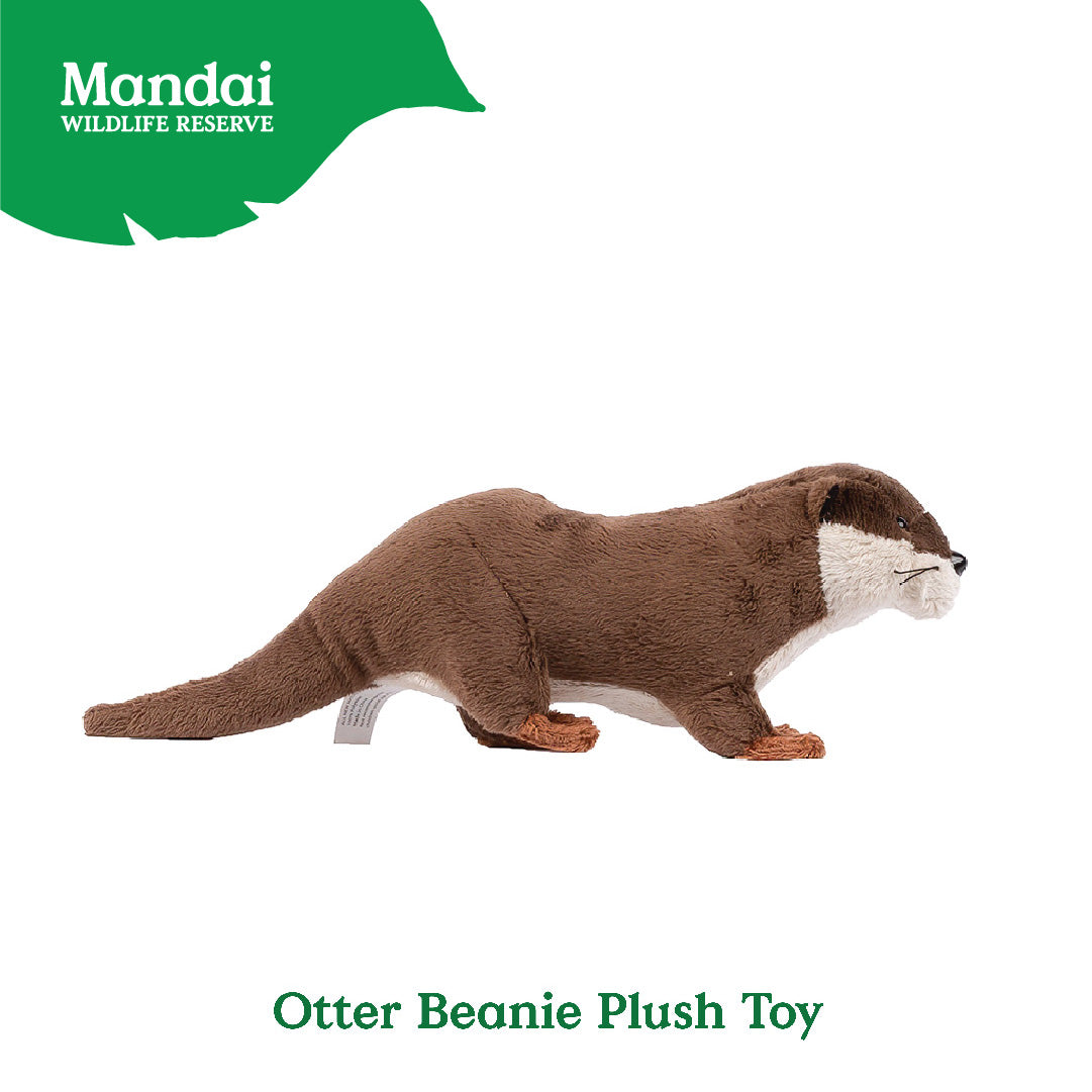 River Otter Standing Otter Beanie Plush Toy Stuffed with Realistic Good Sleeping Buddy MANDAI WILDLIFE RESERVE