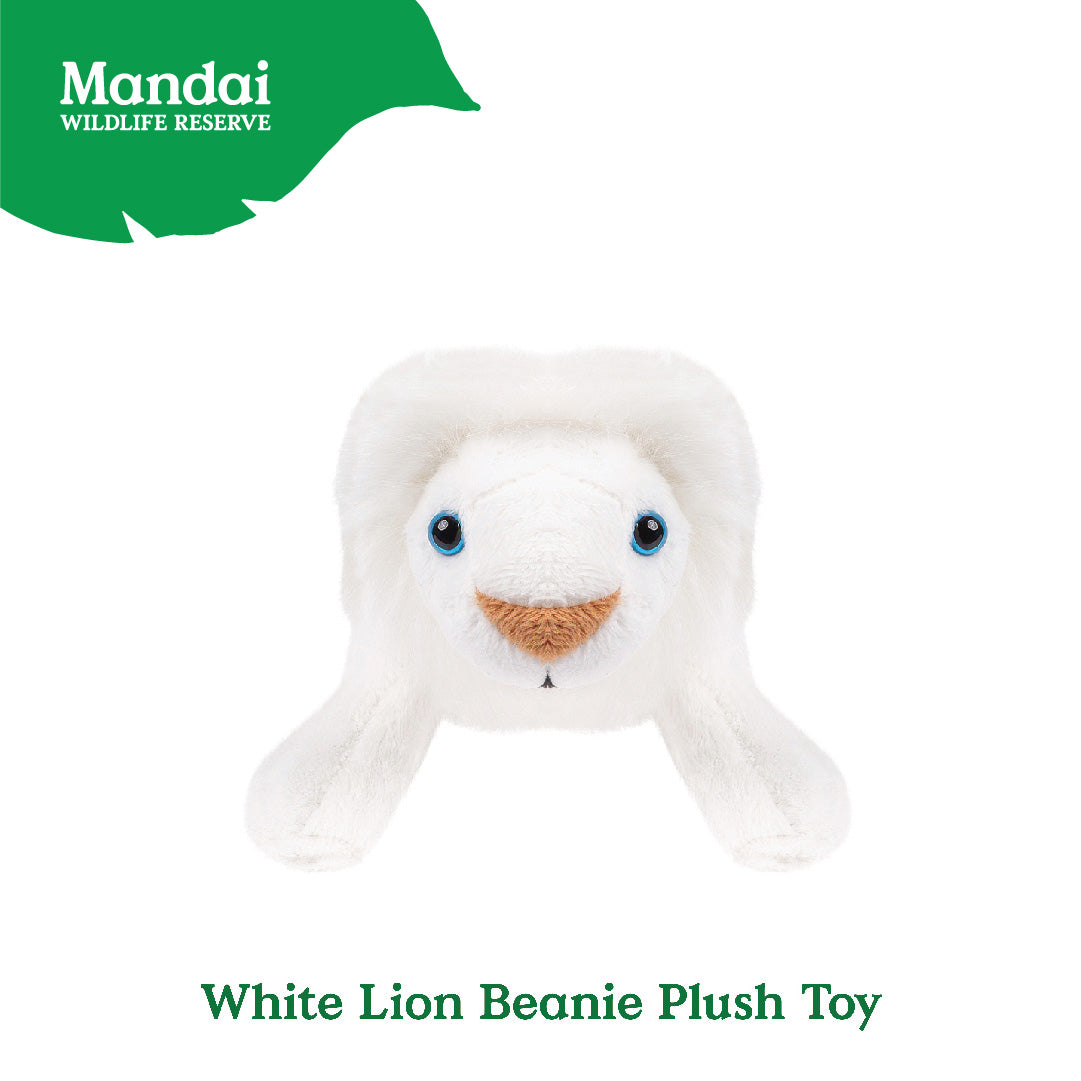 Lion White Lion  Beanie  Plush Toy Stuffed Animal Realistic Details Textures Good Sleeping Buddy MANDAI WILDLIFE RESERVE