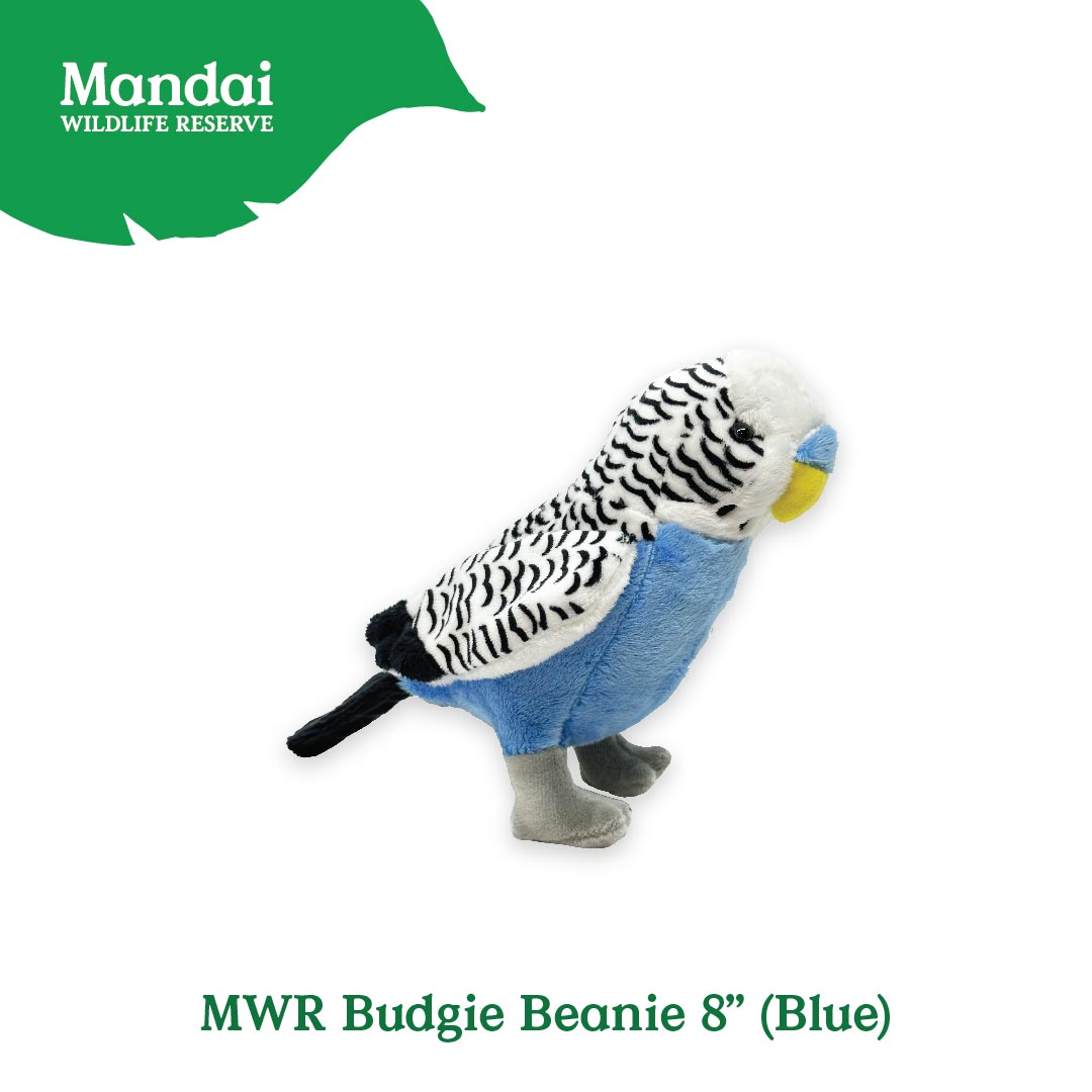 MWRBUDGIEBEANIE8_BLUE