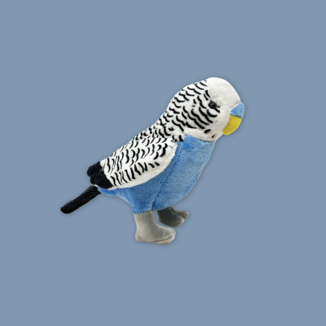 Blue Budgie Beanie Plush