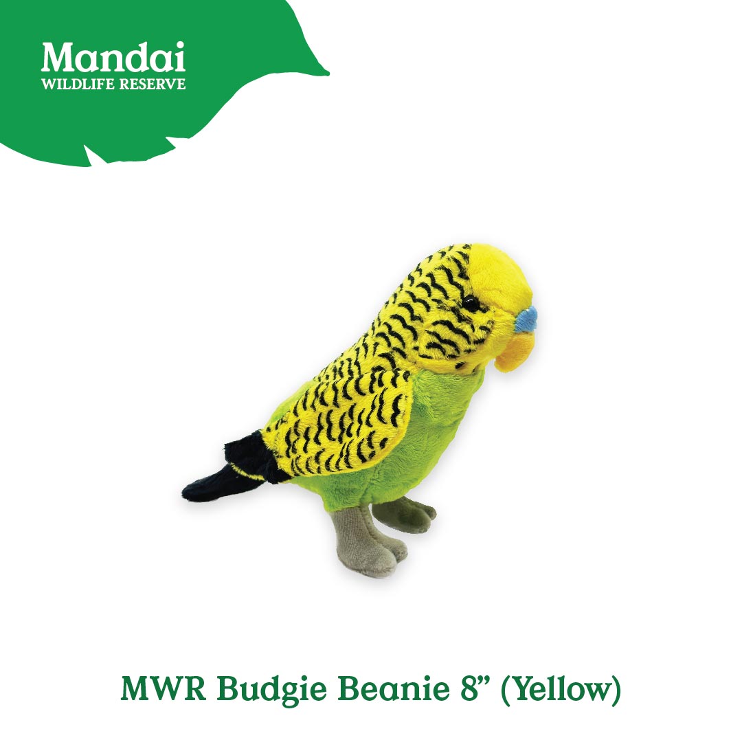 MWRBUDGIEBEANIE8_YELLOW