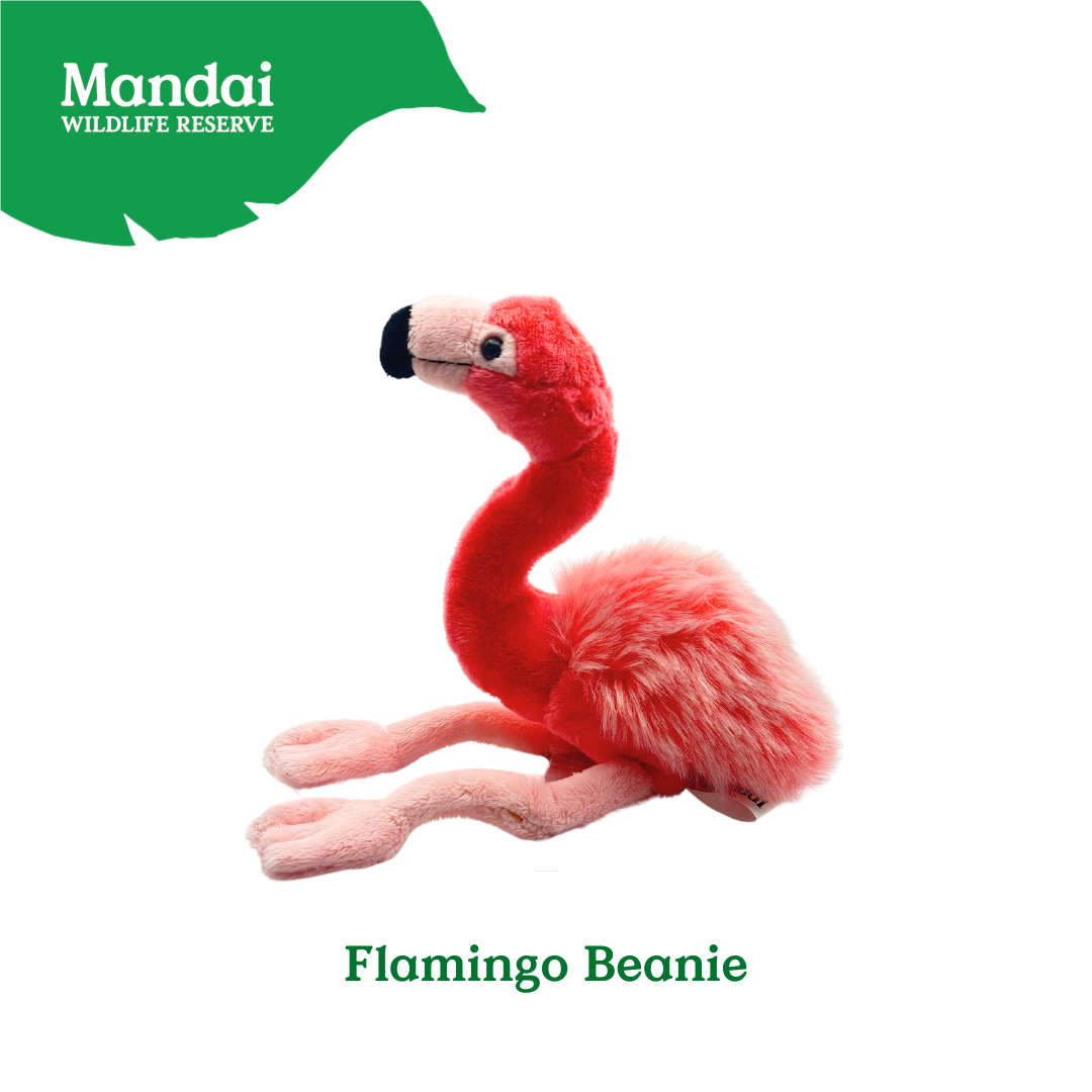 Flamingo Macaw Owl Bird Collection Plush Keychain Bag Clip-on MANDAI WILDLIFE RESERVE