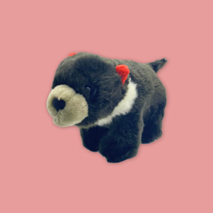 Pangolin Tasmania Devil Armadillo Kiwi Bird Plush Keychain Best Selling MANDAI WILDLIFE RESERVE