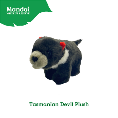 Pangolin Tasmania Devil Armadillo Kiwi Bird Plush Keychain Best Selling MANDAI WILDLIFE RESERVE