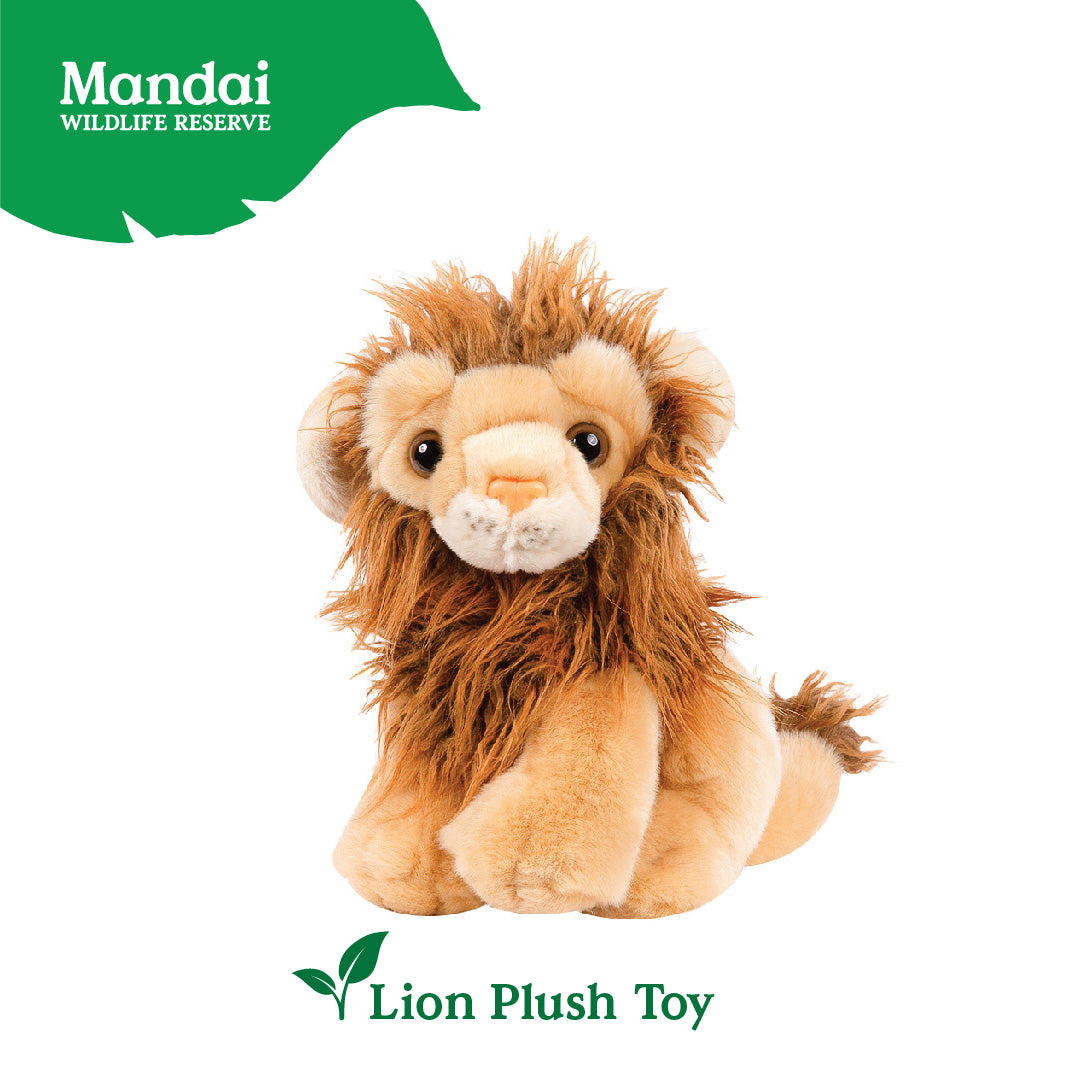 Lion White Lion  Beanie  Plush Toy Stuffed Animal Realistic Details Textures Good Sleeping Buddy MANDAI WILDLIFE RESERVE