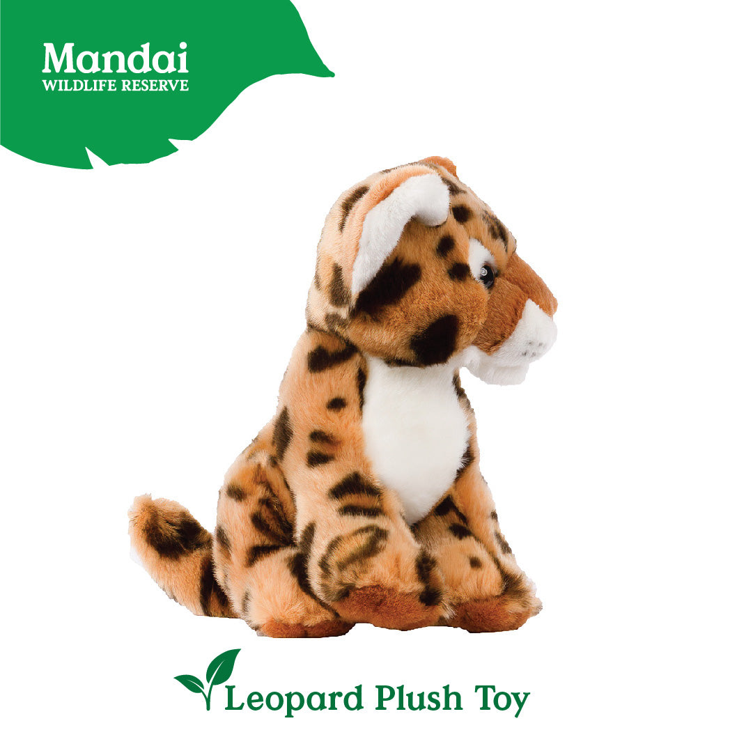 Leopard Cheetah Plush Toy Stuffed Big Cats Animal Realistic Details Textures Good Sleeping Buddy MANDAI WILDLIFE RESERVE