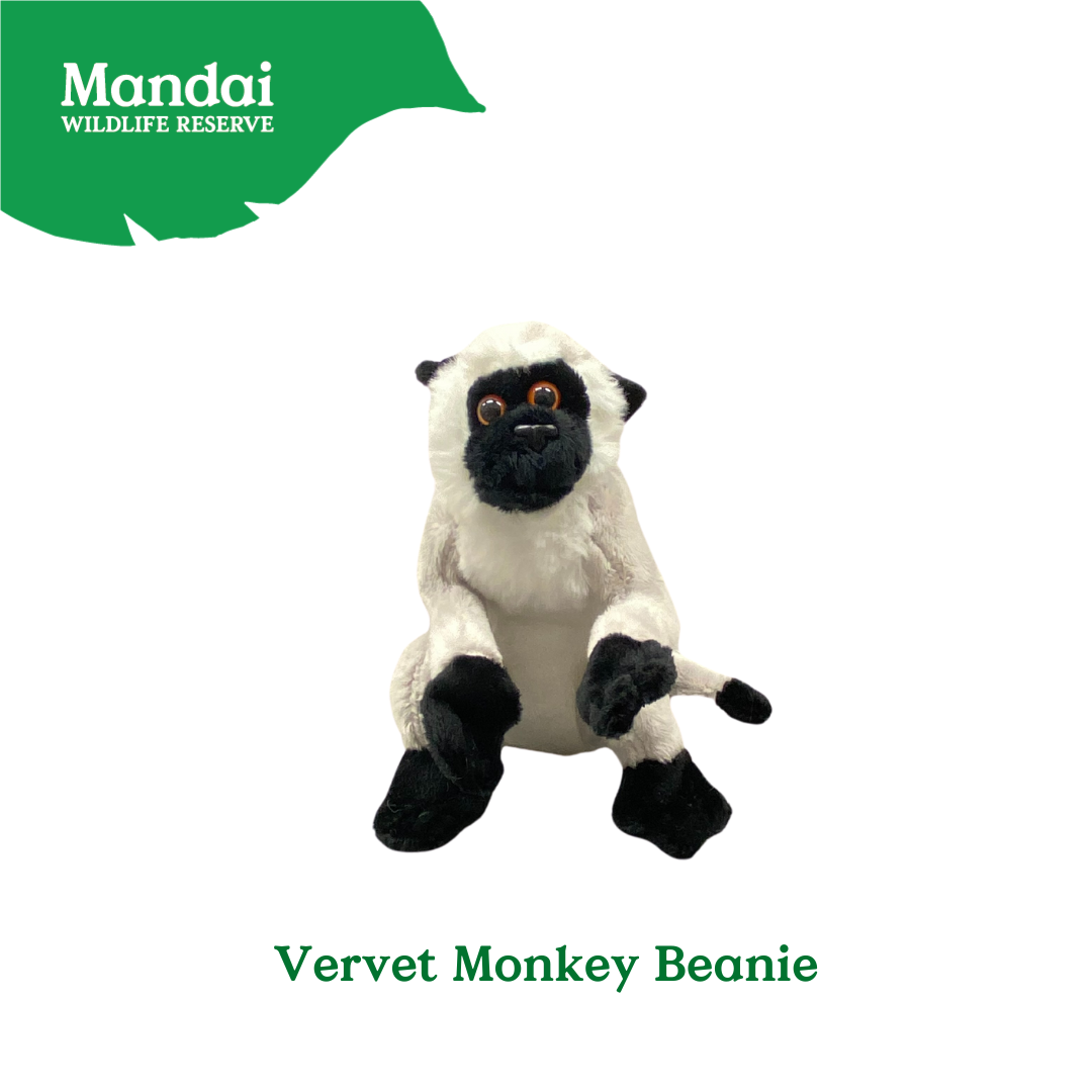 Mandrill Lemur Chimpanzee Velvet Monkey Plush Beanies Exclusive Collection from MANDAI WILDLIFE RESERVE