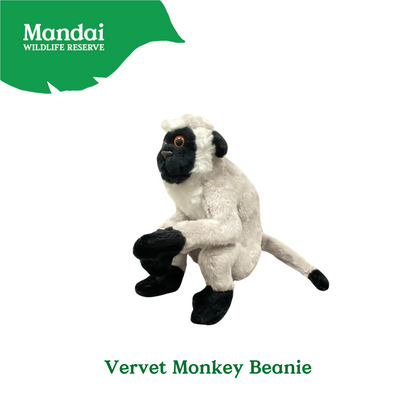 Mandrill Lemur Chimpanzee Velvet Monkey Plush Beanies Exclusive Collection from MANDAI WILDLIFE RESERVE