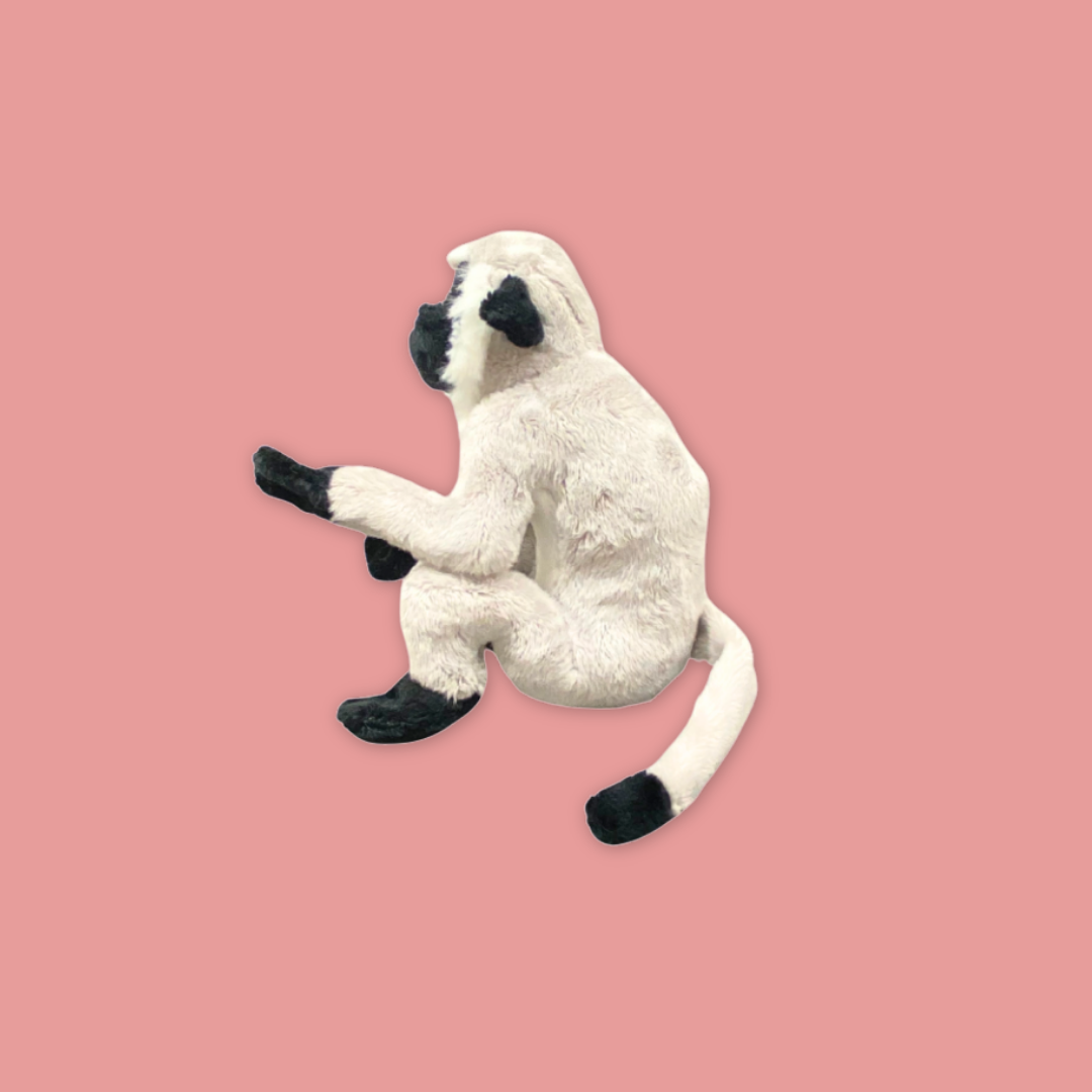 Velvet Monkey Beanie Plush