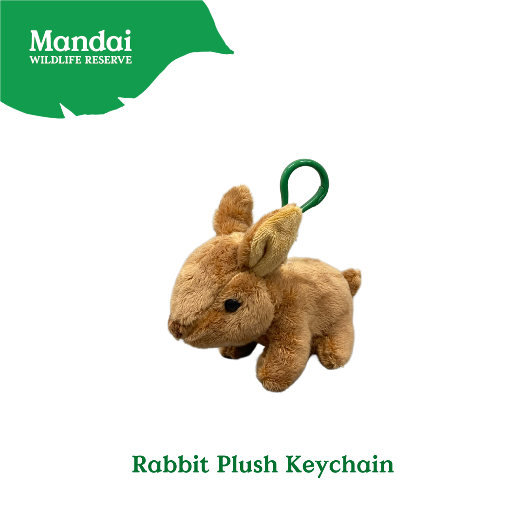 Otter Raccoon Bunny Panda Flamingo Husky Bat Pig Sheep Rabbit Horse Plush Keychain Bag Clip-on MANDAI WILDLIFE RESERVE