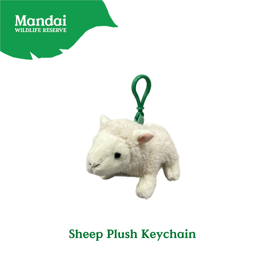 Otter Raccoon Bunny Panda Flamingo Husky Bat Pig Sheep Rabbit Horse Plush Keychain Bag Clip-on MANDAI WILDLIFE RESERVE