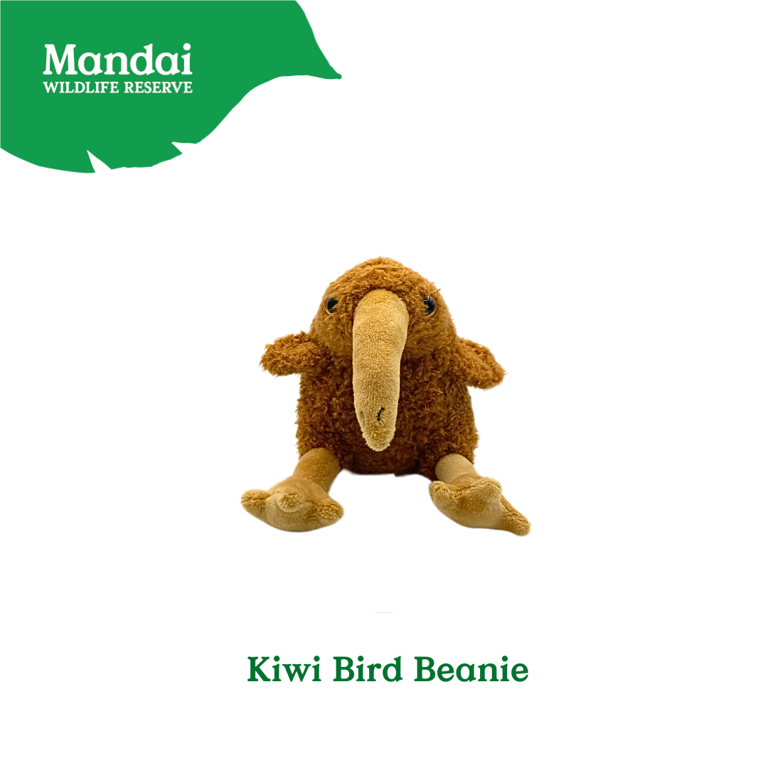 Pangolin Tasmania Devil Armadillo Kiwi Bird Plush Keychain Best Selling MANDAI WILDLIFE RESERVE