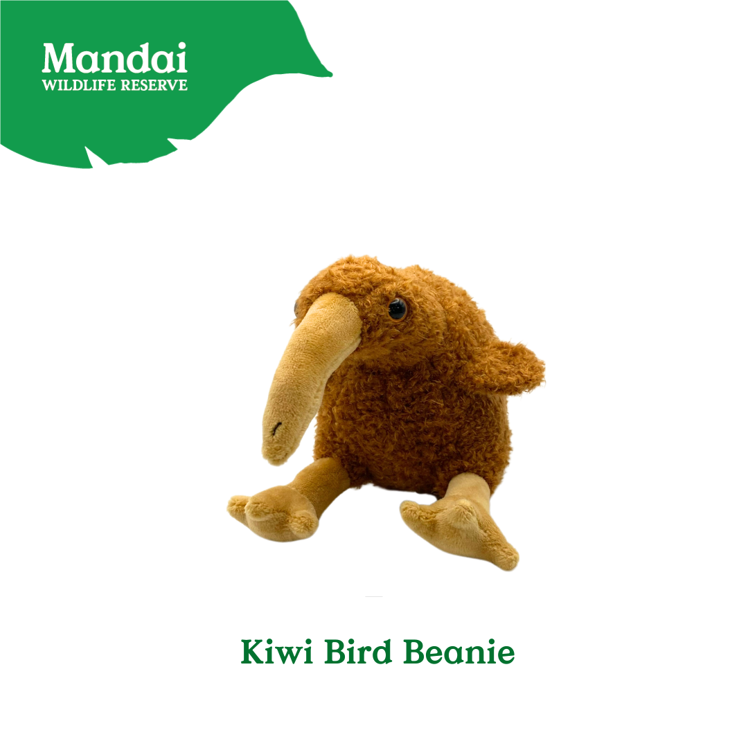 Pangolin Tasmania Devil Armadillo Kiwi Bird Plush Keychain Best Selling MANDAI WILDLIFE RESERVE