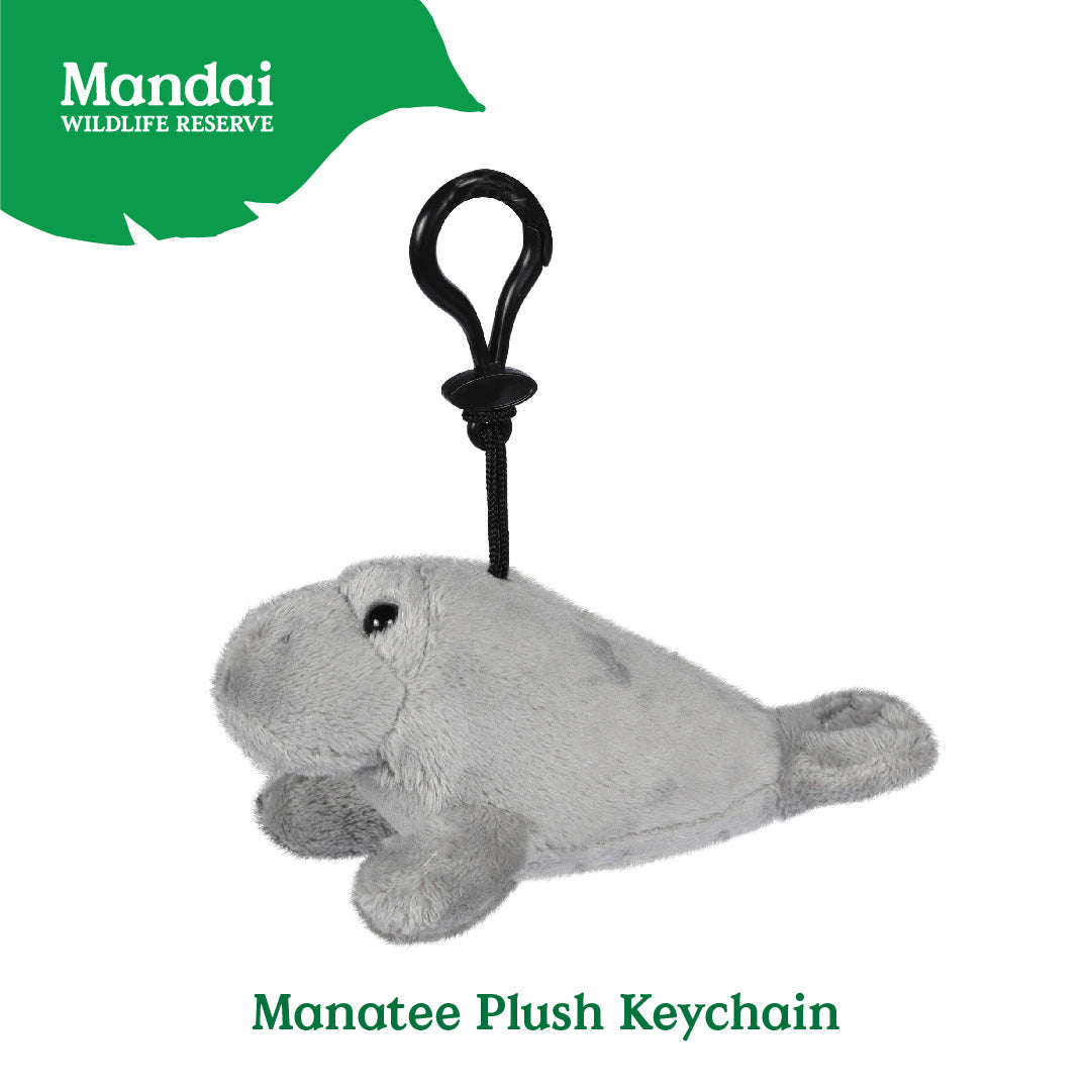 Canola Manatee Keychain Plush Pillow Stuffed with Realistic Details Cute from MANDAI WILDLIFE RESERVE