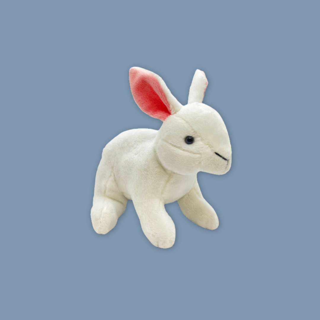 Soft Bunny Plush Trio – White, Grey & Brown Rabbits fromMANDAI WILDLIFE RESERVE