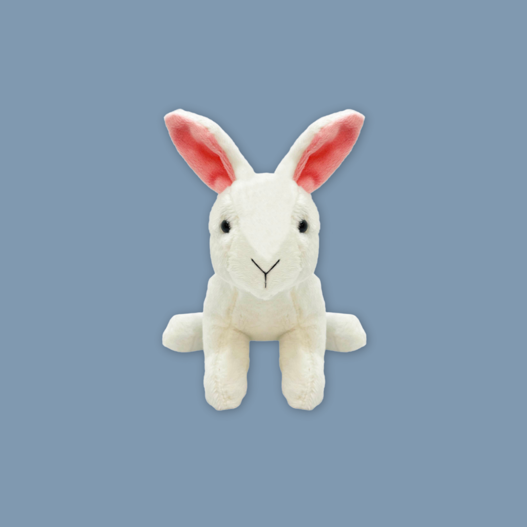 Soft Bunny Plush Trio – White, Grey & Brown Rabbits fromMANDAI WILDLIFE RESERVE