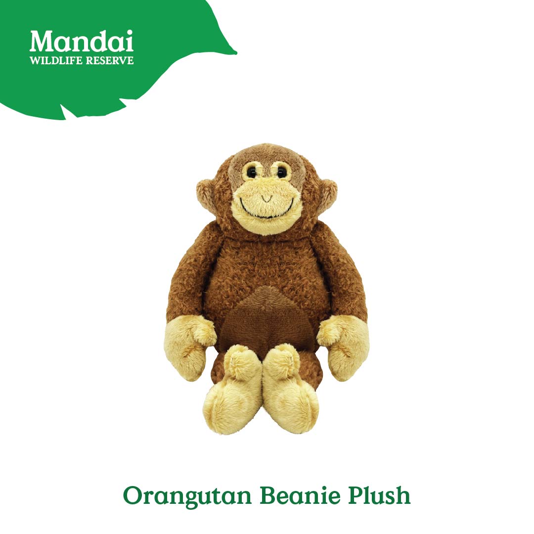 Ranger Buddies Orang Utan Plush Beanie Keychain MANDAI WILDLIFE RESERVE