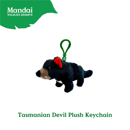 Pangolin Tasmania Devil Armadillo Kiwi Bird Plush Keychain Best Selling MANDAI WILDLIFE RESERVE