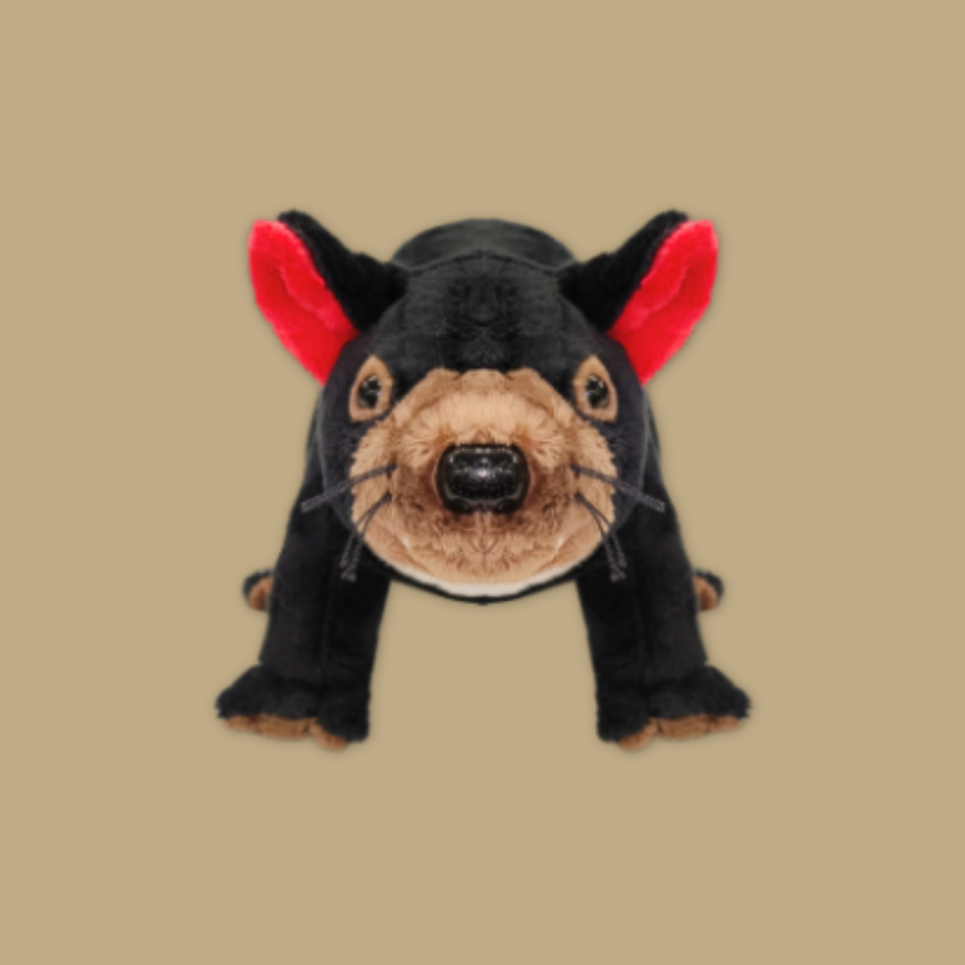 Pangolin Tasmania Devil Armadillo Kiwi Bird Plush Keychain Best Selling MANDAI WILDLIFE RESERVE