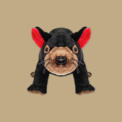Pangolin Tasmania Devil Armadillo Kiwi Bird Plush Keychain Best Selling MANDAI WILDLIFE RESERVE