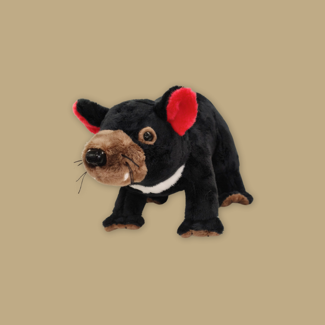 Pangolin Tasmania Devil Armadillo Kiwi Bird Plush Keychain Best Selling MANDAI WILDLIFE RESERVE