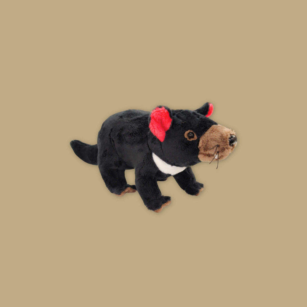 Pangolin Tasmania Devil Armadillo Kiwi Bird Plush Keychain Best Selling MANDAI WILDLIFE RESERVE
