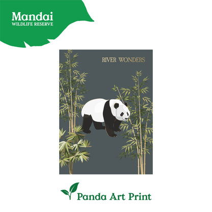 Art Print Card Panda Red Panda Giraffe White Tiger Mandai Collage MANDAI WILDLIFE RESERVE