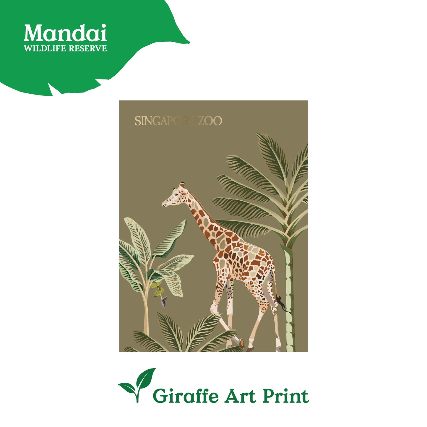 Art Print Card Panda Red Panda Giraffe White Tiger Mandai Collage MANDAI WILDLIFE RESERVE