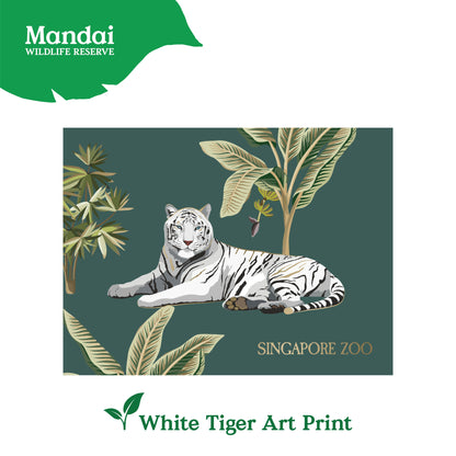 Art Print Card Panda Red Panda Giraffe White Tiger Mandai Collage MANDAI WILDLIFE RESERVE