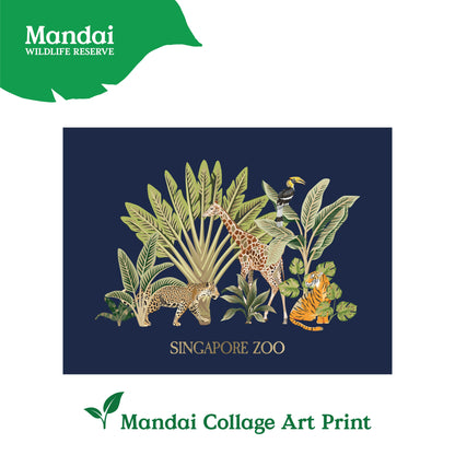 Art Print Card Panda Red Panda Giraffe White Tiger Mandai Collage MANDAI WILDLIFE RESERVE