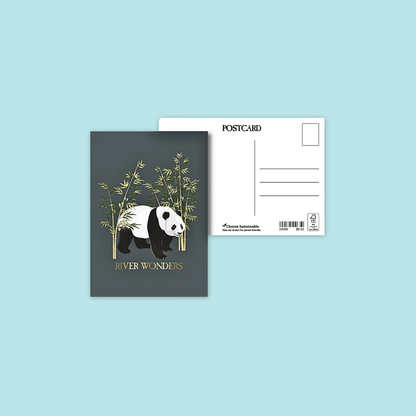 Postcard Panda Red Panda Giraffe White Tiger Elephant Malayan Tiger Mandai Collage Cockatoo  Postcard MANDAI WILDLIFE RESERVE