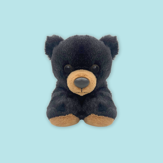 Exclusive Mandai Sunbear Plush with MANDAI WILDLIFE RESERVE