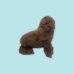 Mini Sea Lion Plush 8"