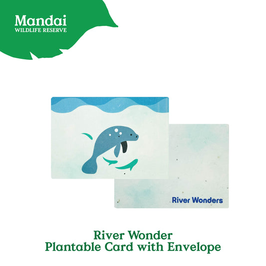 Mandai Park Logo Collection Plantable Card With Envelope Singapore Zoo Night Safari River Wonder MANDAI WILDLIFE RESERVE