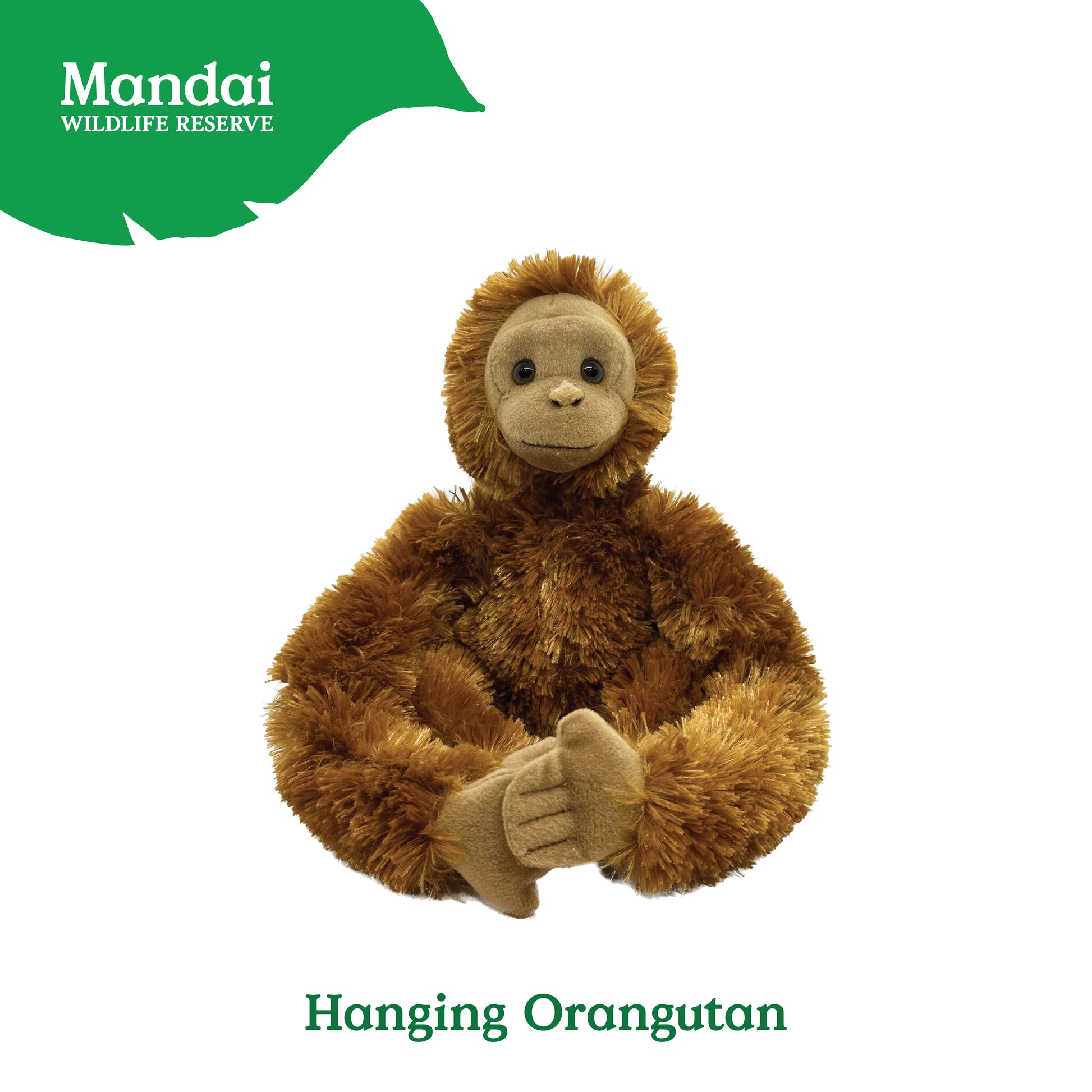 8155981_HANGINGORANGUTAN-01