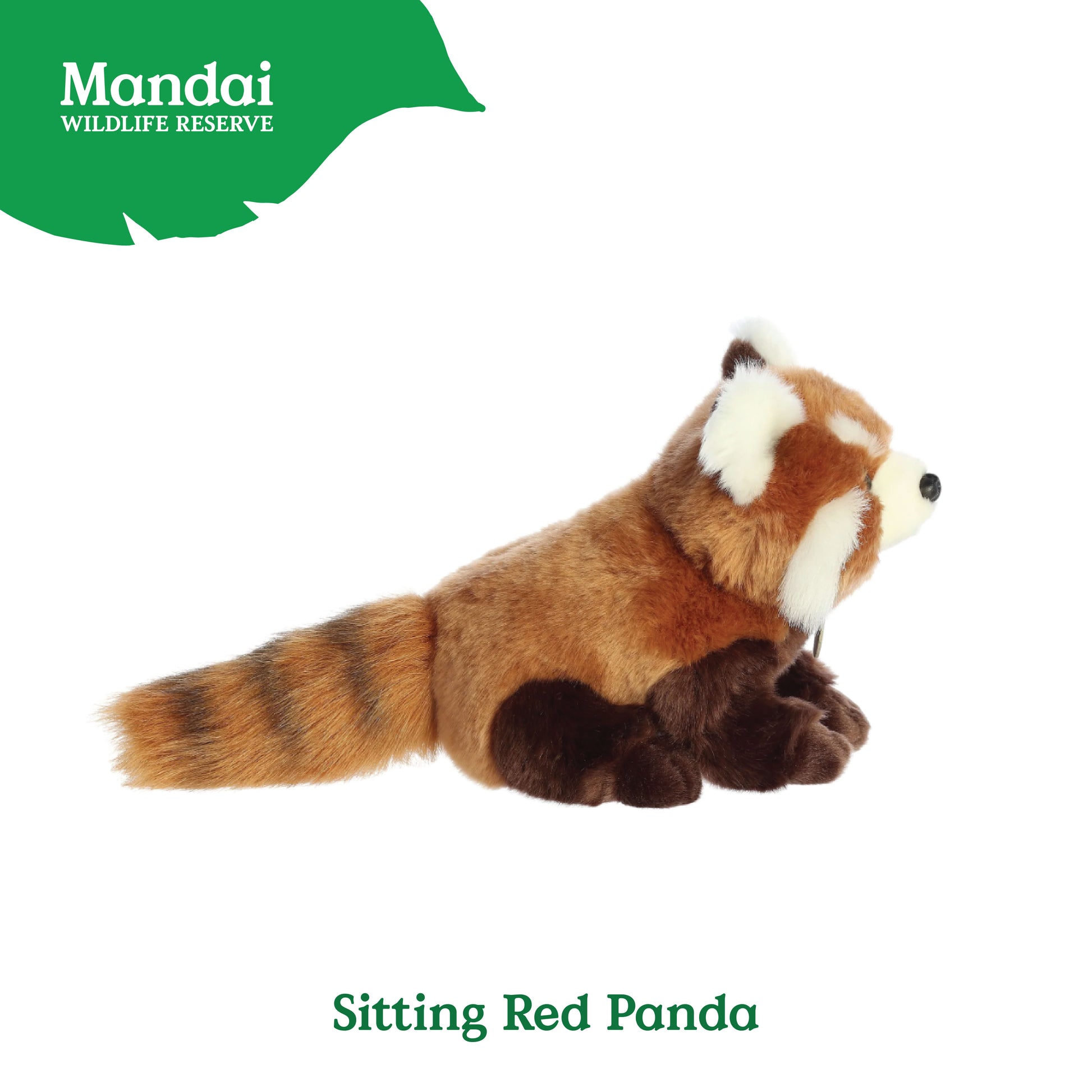 18155982_SITTINGREDPANDA7.5-03