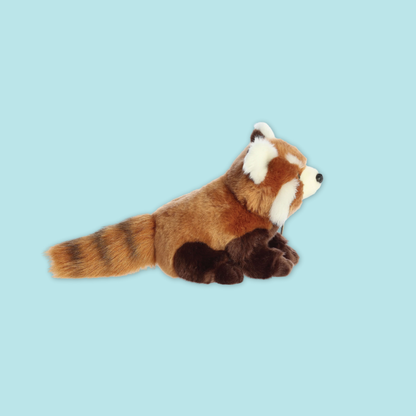 Sitting Panda Red Panda Plush Toy Stuffed with Realistic Details Textures Good Sleeping Buddy MANDAI WILDLIFE RESERVE