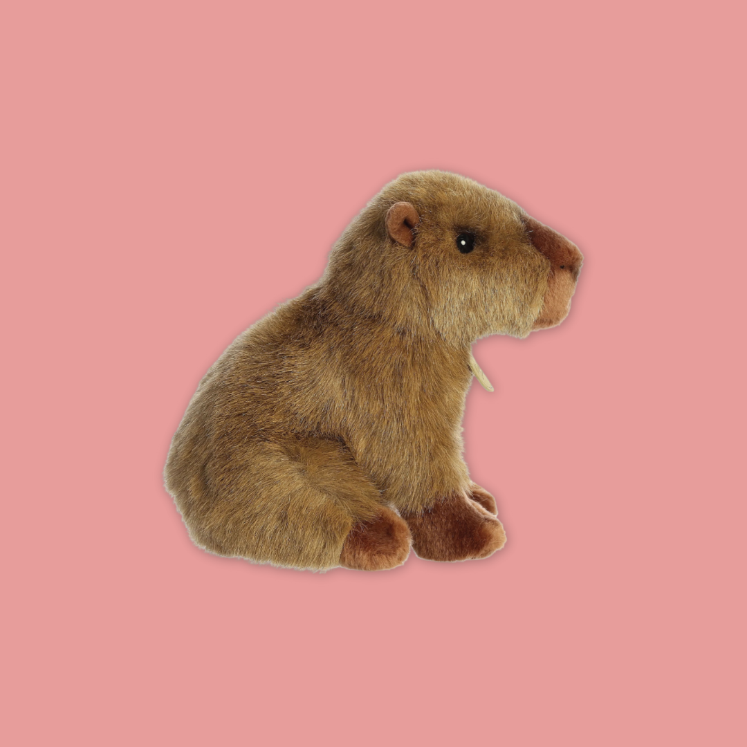 Sitting Capybara Plush Toy Stuffed Good Sleeping Buddy - MANDAI WILDLIFE RESERVE