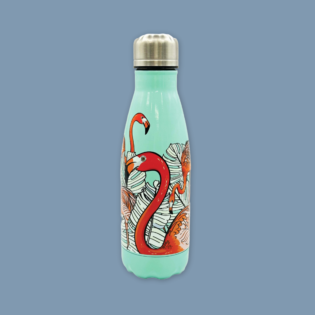 Flamingo Macaw COLOR CHANGING Stainless Steel MANDAI WILDLIFE RESERVE