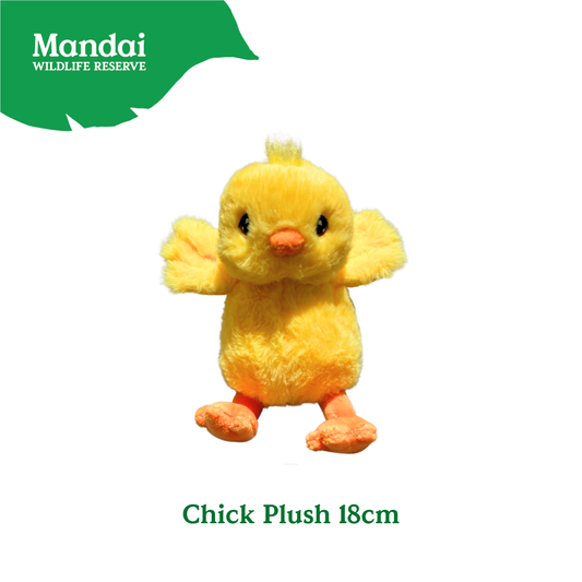 Yellow Duck Chick Explorer Adventure Plush – Realistic Details Cute Textures Perfect Sleeping Buddy – MANDAI WILDLIFE RESERVE