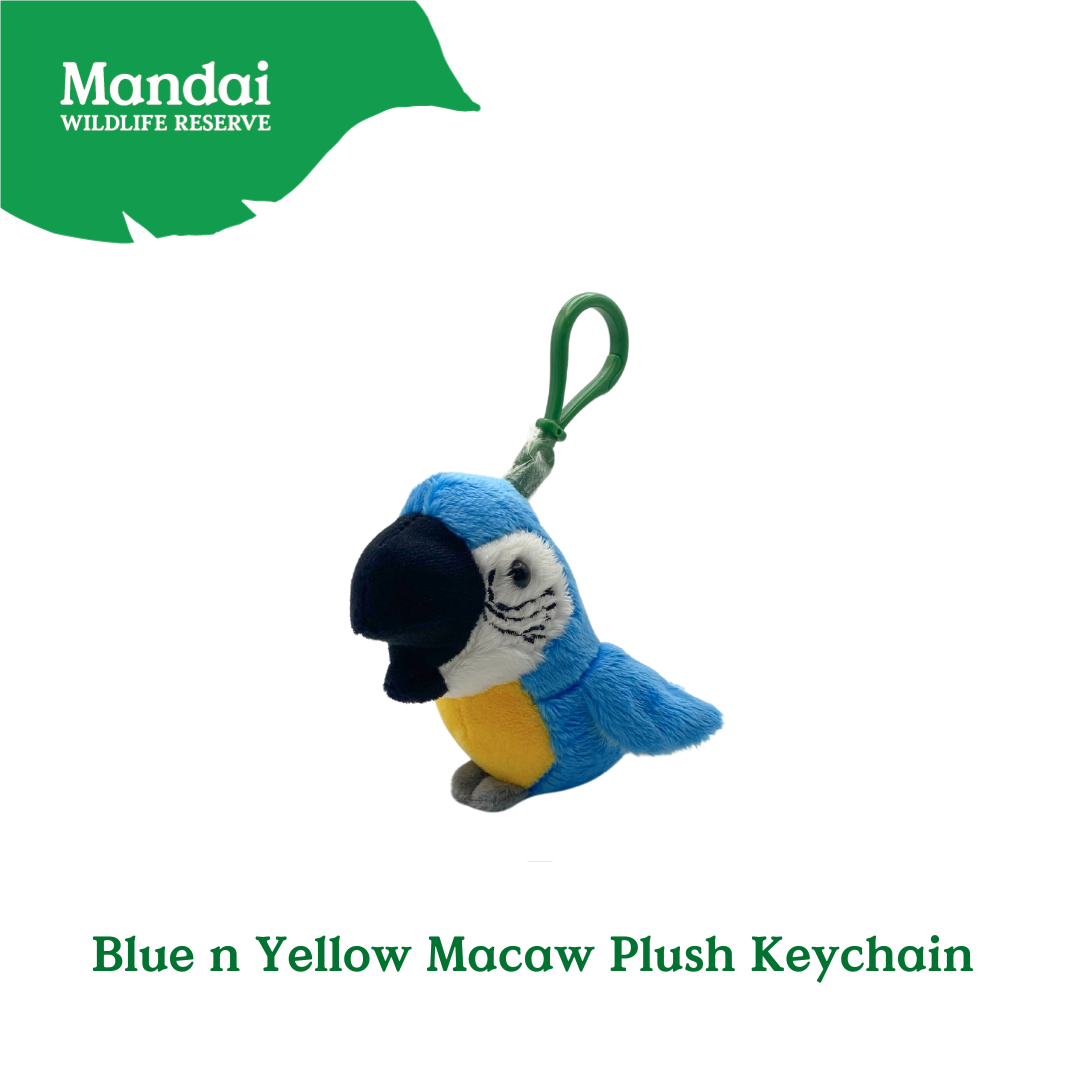 Flamingo Macaw Owl Bird Collection Plush Keychain Bag Clip-on MANDAI WILDLIFE RESERVE