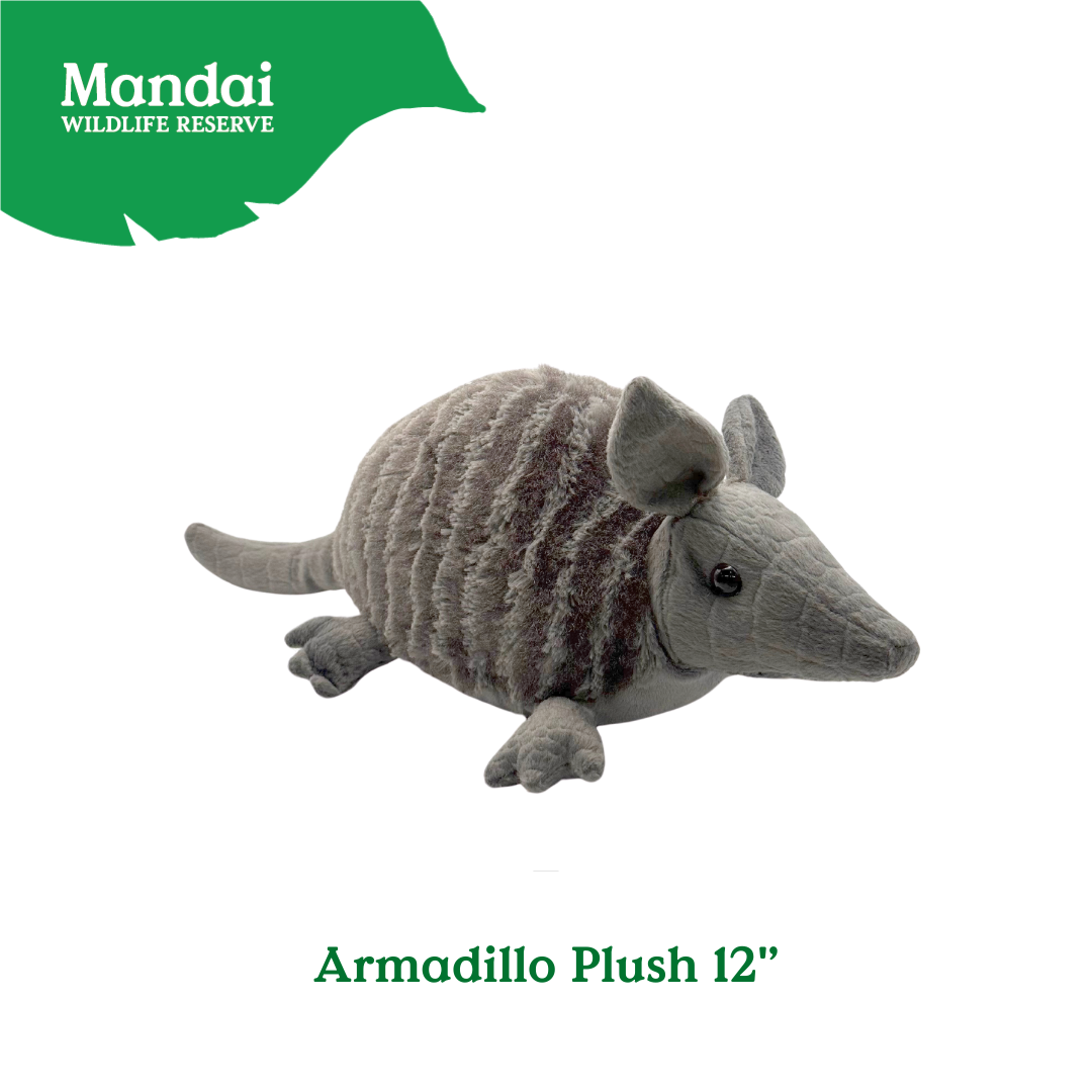 Pangolin Tasmania Devil Armadillo Kiwi Bird Plush Keychain Best Selling MANDAI WILDLIFE RESERVE