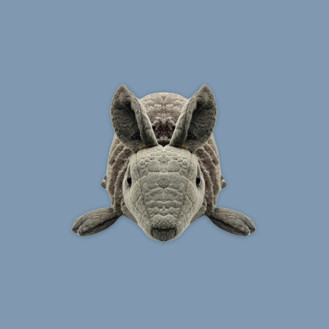 Pangolin Tasmania Devil Armadillo Kiwi Bird Plush Keychain Best Selling MANDAI WILDLIFE RESERVE