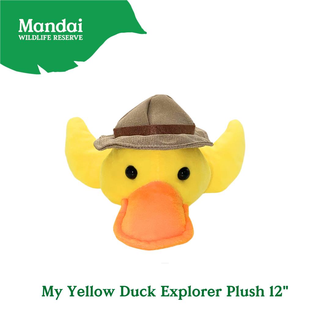 Yellow Duck Chick Explorer Adventure Plush – Realistic Details Cute Textures Perfect Sleeping Buddy – MANDAI WILDLIFE RESERVE