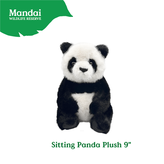 Sitting Panda Red Panda Plush Toy Stuffed with Realistic Details Textures Good Sleeping Buddy MANDAI WILDLIFE RESERVE