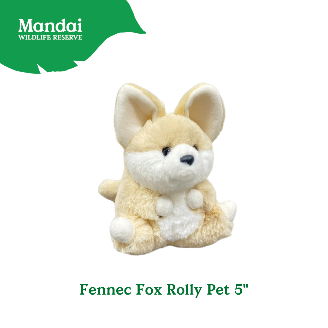 Rollypet Series Adorably Compact Souvenirs Fennec Fox & Capybara MANDAI WILDLIFE RESERVE