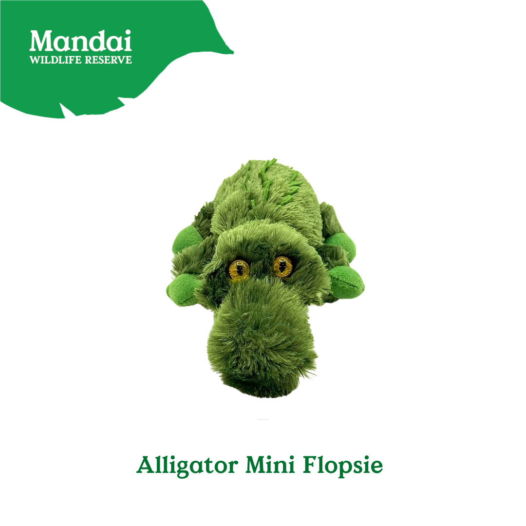 Flopsies Alligator Baby Otter Baby Tapir Hyena Plush Toys at MANDAI WILDLIFE RESERVE